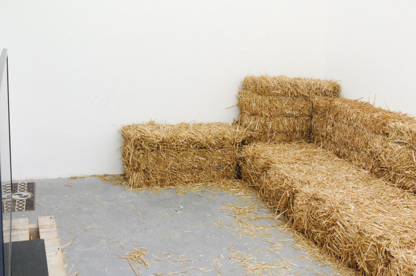 Frank Koolen, Mike Moonen, Rowan van As, Thijs Franssen, Vincent Bijleveld (en, of, allemaal)