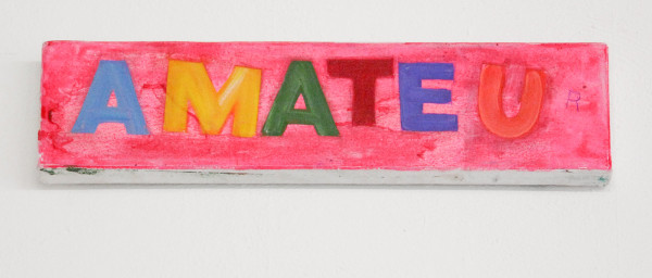 Daan den Houter - Amateur - 10x40cm Olieverf op doek