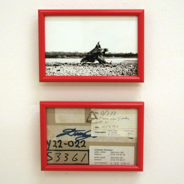 Daan van Golden - Tagazout - Foto