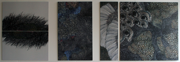 Danielle Boorsma Danielle Boorsma