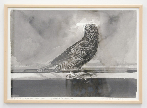 David Claerbout - Breathing Bird - Study with single bird - Gewassen inkt en viltstift op papier