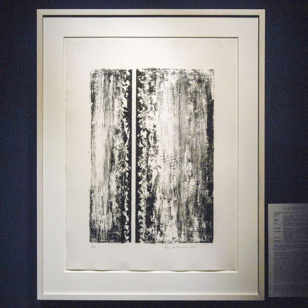 David Tunick - Barnett Newman