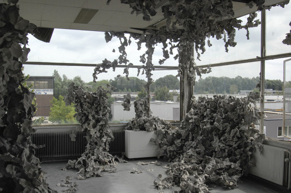 Deidre van den Boogaard