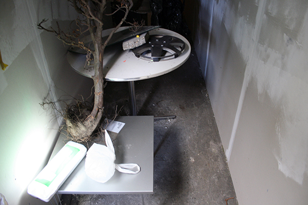 Diego Bianchi - Feel Free Feel Fear (detail)