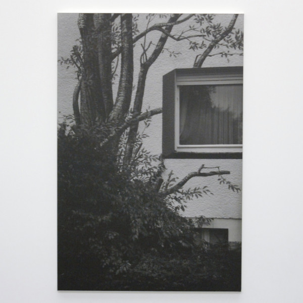 Dirk Braeckman - ADF-WB-03 - Zilvergelatinedruk op aluminium