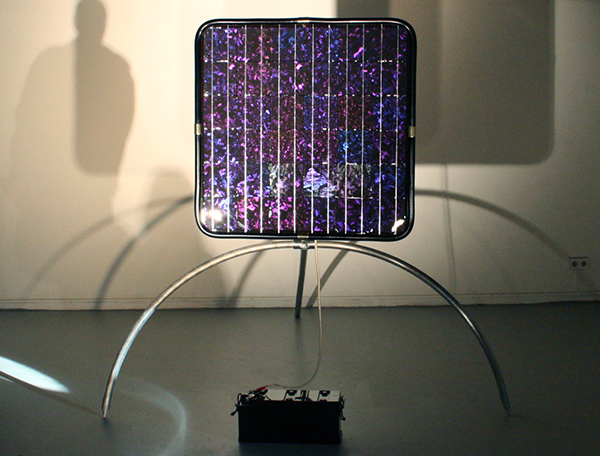 Dusan Rodic Dusan Rodic