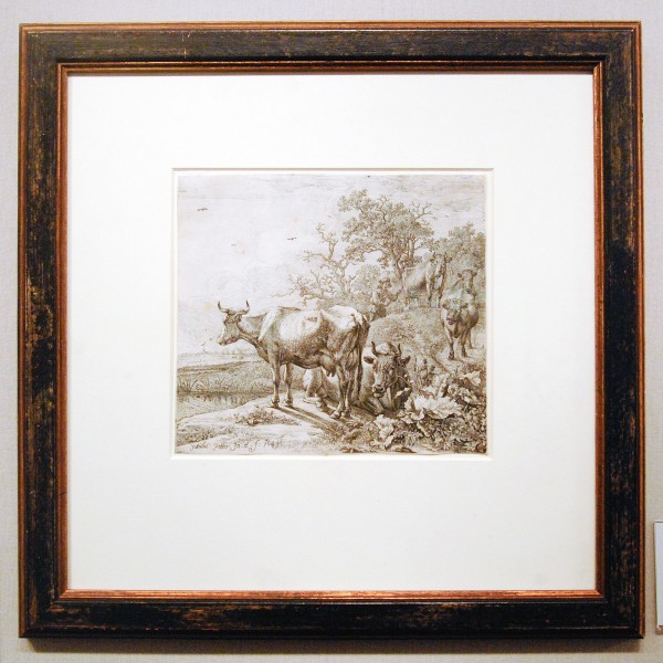 EH Ariens Kappers - Paulus Potter