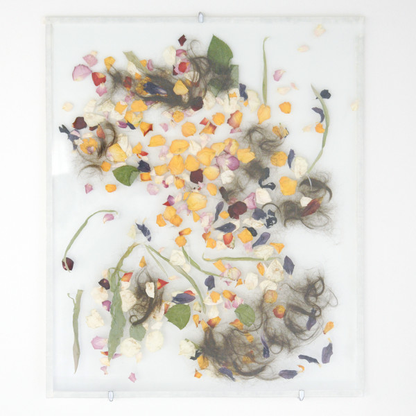 Eefje Goos - Studie tussen glas