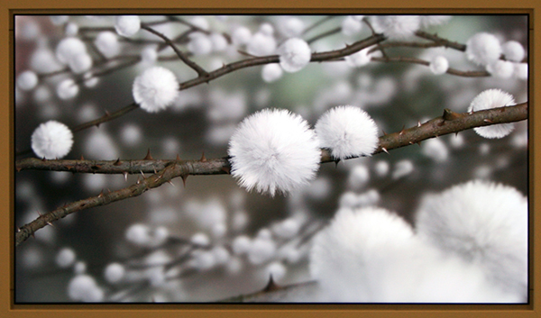 Eelco Brand - Imovi - 58x98x12cm Digitale animatie Eelco Brand - Imovi - 58x98x12cm Digitale animatie