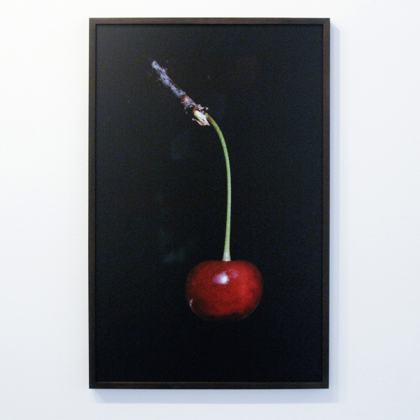Elspeth Diederix - Cherry - 80x51cm C-print