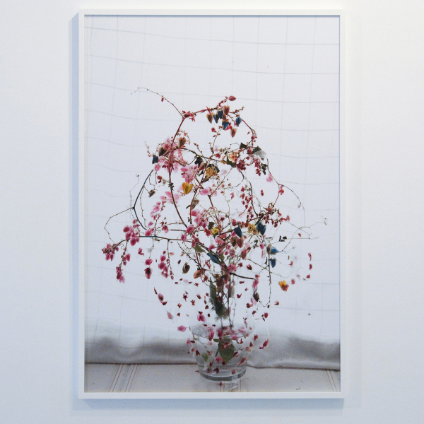 Elspeth Diederix - Pink Yellow Blue - 120x68cm C-print