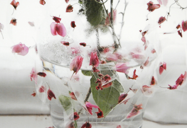 Elspeth Diederix - Pink Yellow Blue - 120x68cm C-print (detail)