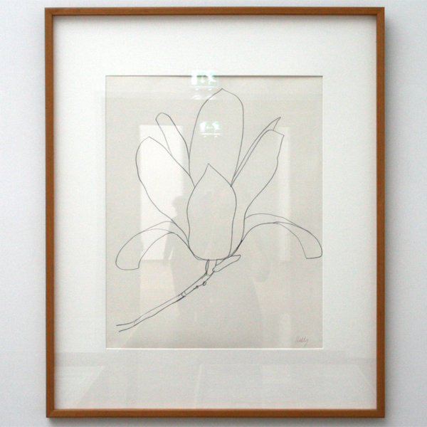 Elsworth Kelly - Magnolia - Potlood op papier Elsworth Kelly - Magnolia - Potlood op papier
