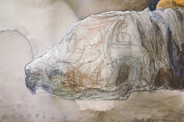 Erik Andriesse - Schildpadden - Gemengde techniek op papier, 1991 (detail)