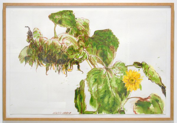 Erik Andriesse - Zonnebloemen - Aquarelverf op papier, 1988