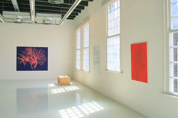 Evi Vingerling overzicht