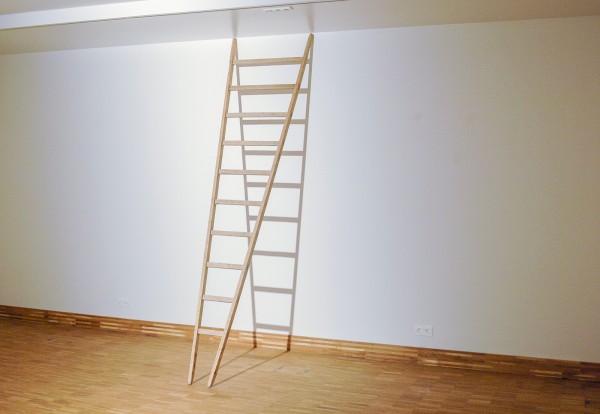 Fabrice Samyn - The point of you - Hout 2014