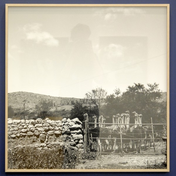 Flatland - Katherine Cooper