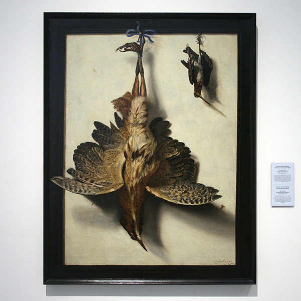 Frans van Cuyck de Myerhop - Stilleven met Dode Vogels - Olieverf op doek, midden van de tweedehelft van de 17e eeuw