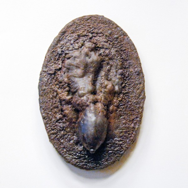 Gabrielle Meijer - Dubio pro reo - 20x30cm Was op doek