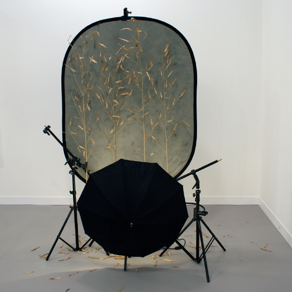 Galeria Fortes Vilaca - Rodrigo Matheus Galeria Fortes Vilaca - Rodrigo Matheus