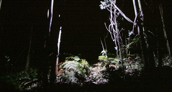 Galerie Sherin Najjar - Carlos Irijalba - Inertia - 20minuten Video