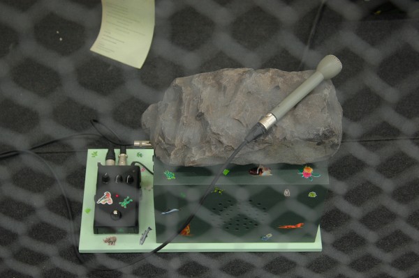 Gareth Moore - A Burning Bag as a Smoke-Grey Lotus (Roll on roofing, Leaves, Human Instrument, Poetry Tongue, Bull Kelp Rattle, Diogenes Master, Transformer (Rhododendron), Mallet) - Installatie (detail)