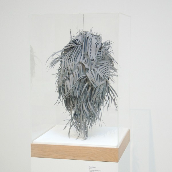 Georgia Russell - Grey Matter - Versneden boek en touw