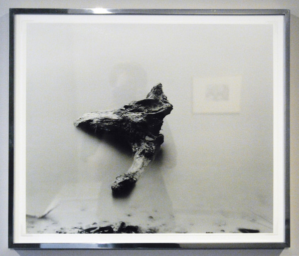 Gerard Byrne - Three Connected Sites - Drie zilvergelatine prints (detail)