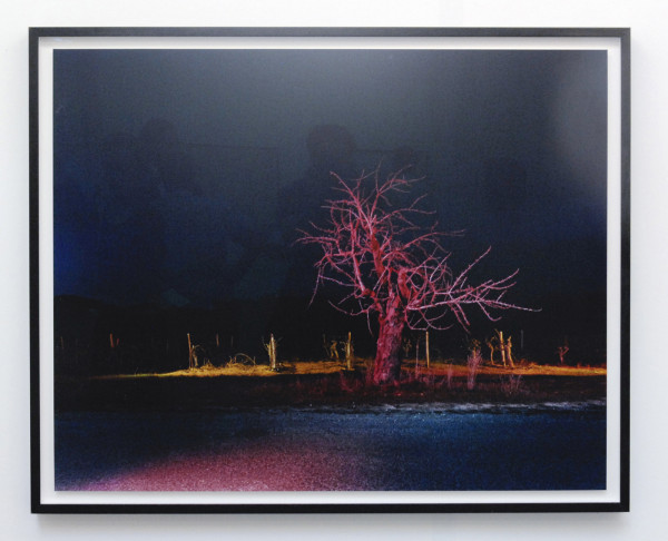 Green on Red - Gerard Byrne