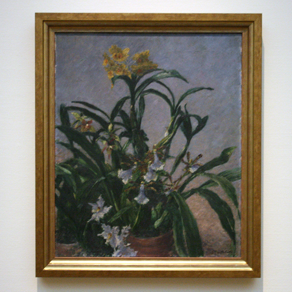 Gustave Caillebotte - Orchidees Jaunes - Olieverf op doek 1893