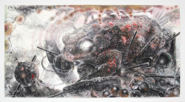 Hans de Wit Toad - Pastel en houtskool op Saunder Waterford papier