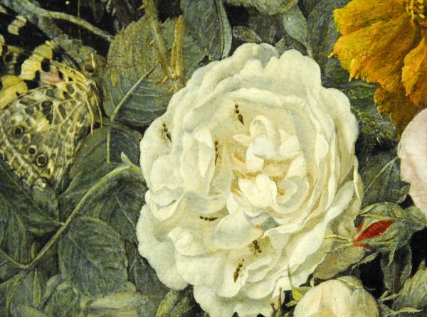 Henri de Fromantiou - Bloemstilleven met passiebloem - Olieverf op doek, 1665 (detail)