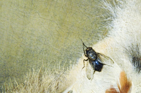 Henri de Fromantiou - Trompe l'oeil met dode patrijs - Olieverf op doek, 1666 (detail)