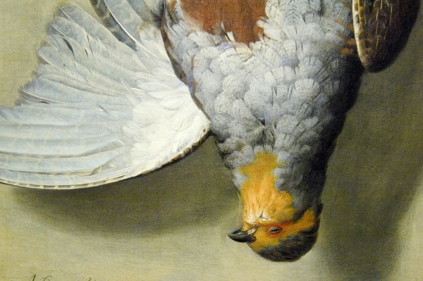 Henri de Fromantiou - Trompe l'oeil met dode patrijs - Olieverf op doek, 1666 (detail)