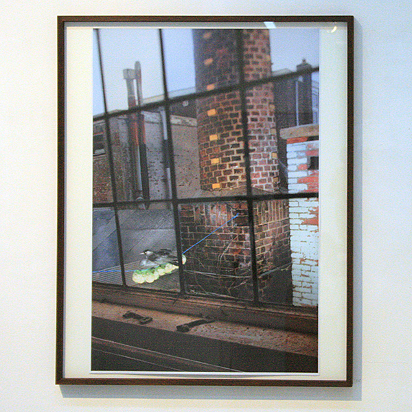 Henze Boekhout - Haarlem 2013 - 56x75cm Lambda C-print
