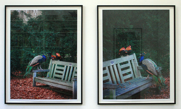 Henze Boekhout - Overveen A & B - 56x75cm