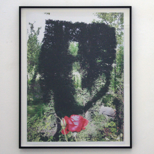 Henze Boekhout - Rilland Zeeland - 74x56cm