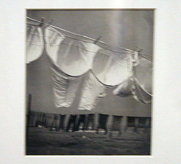 Herbert List - Wasche im Wind, Finkenweder - Gelatinezilverdruk 1934