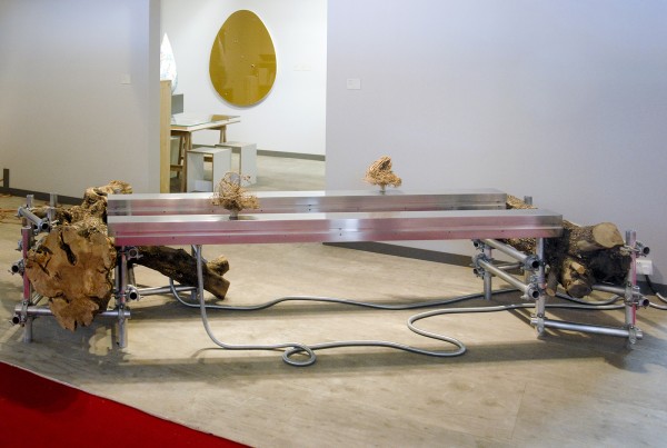 Hidde van Seggelen - Siobhan Hapaska