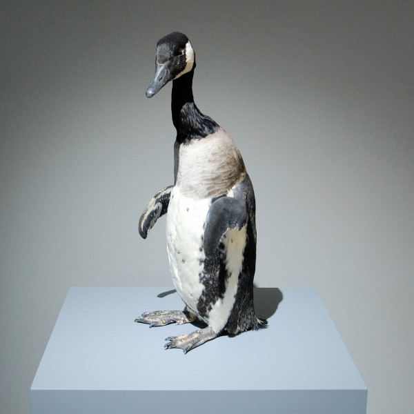 Hidde van Seggelen - Thomas Grunfeld