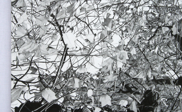 Huub Hannen Galerie - Mirjam Abraas (detail) Huub Hannen Galerie - Mirjam Abraas (detail)