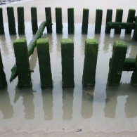 Werk van Piet Mondriaan in relatie tot de plek vanwaar ze geïnspireerd zijn op 2 september rond 8 uur in de avond bij Noordduine (tussen Domburg en Westkapelle in). Niet alleen is [&hellip;]