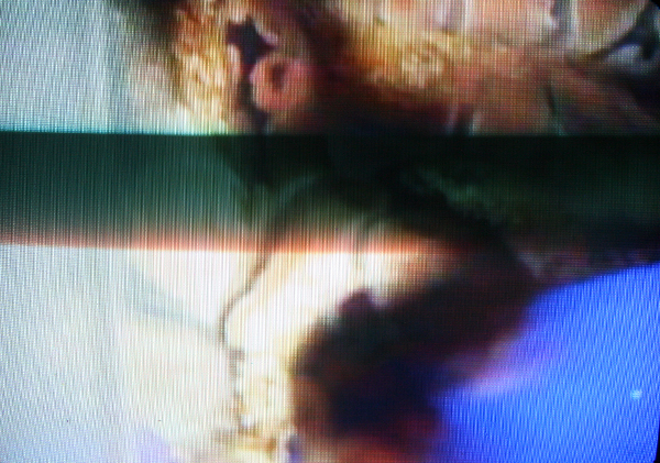 Idan Hayosh Idan Hayosh