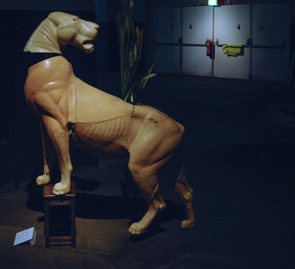 Ignace Cami - Exoiten - Purschuim, hout, sanseveria, houten meubel