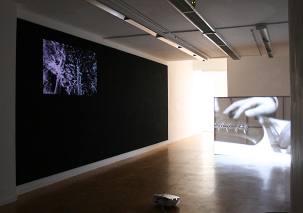 Imogen Stidworthy Overzicht