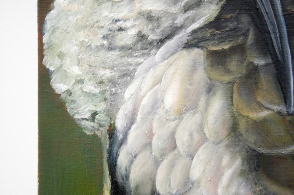 Ina van Zyl - Hadeda - 70x50cm Olieverf op linnen (detail)