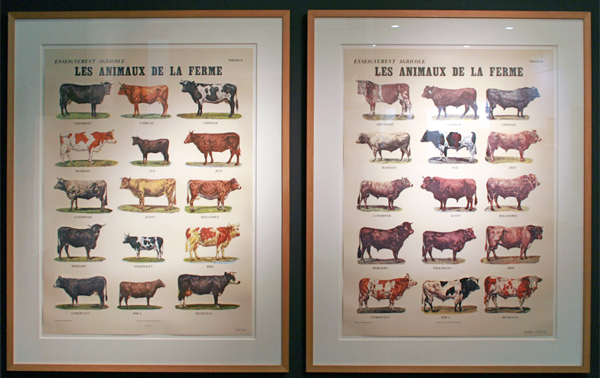 Jamar - Marcel Broodthaers Jamar - Marcel Broodthaers