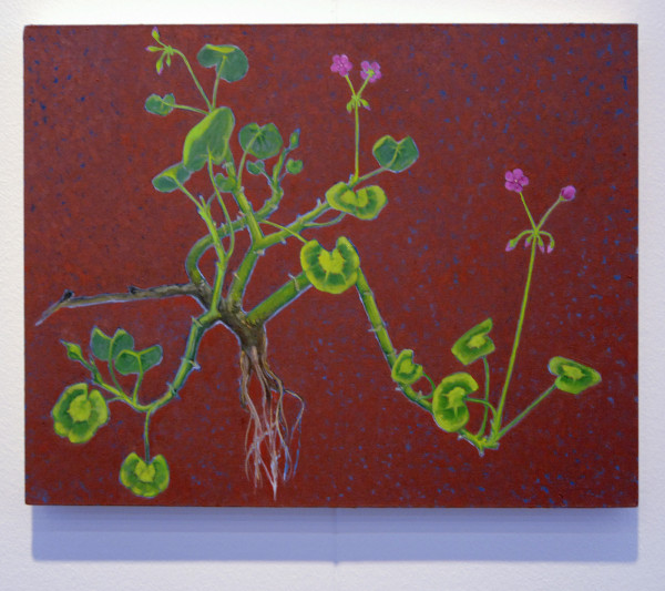 Jan van Hoof - Jorn van Leeuwen