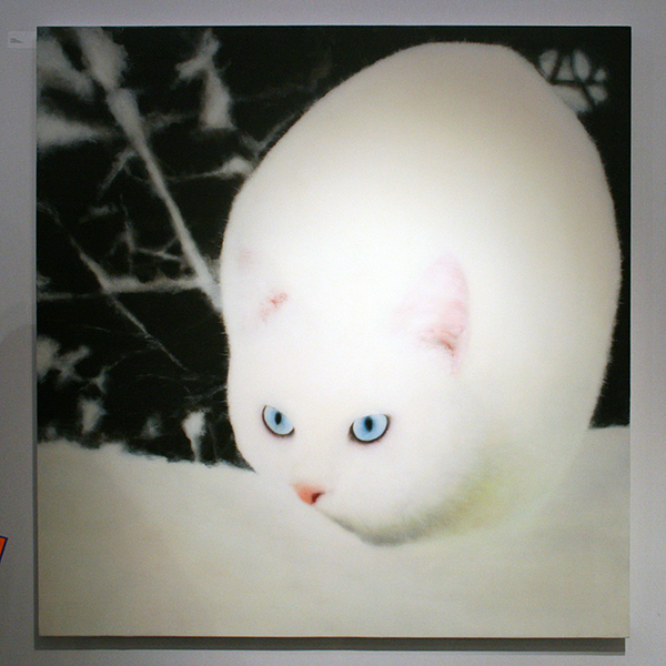 Jan van Hoof - Rob Regeer